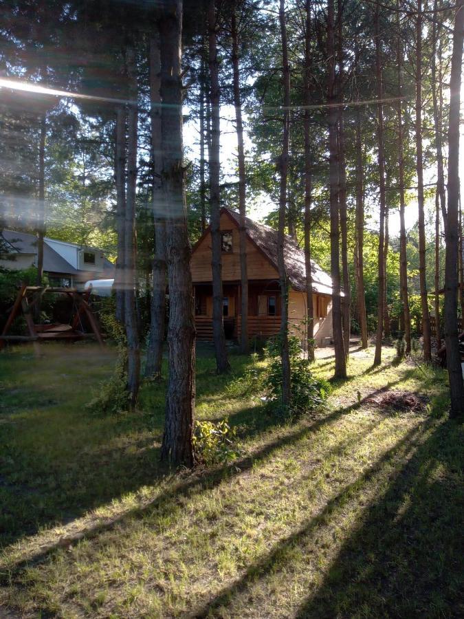 Domek Dzieciolek Zyciny Exterior foto